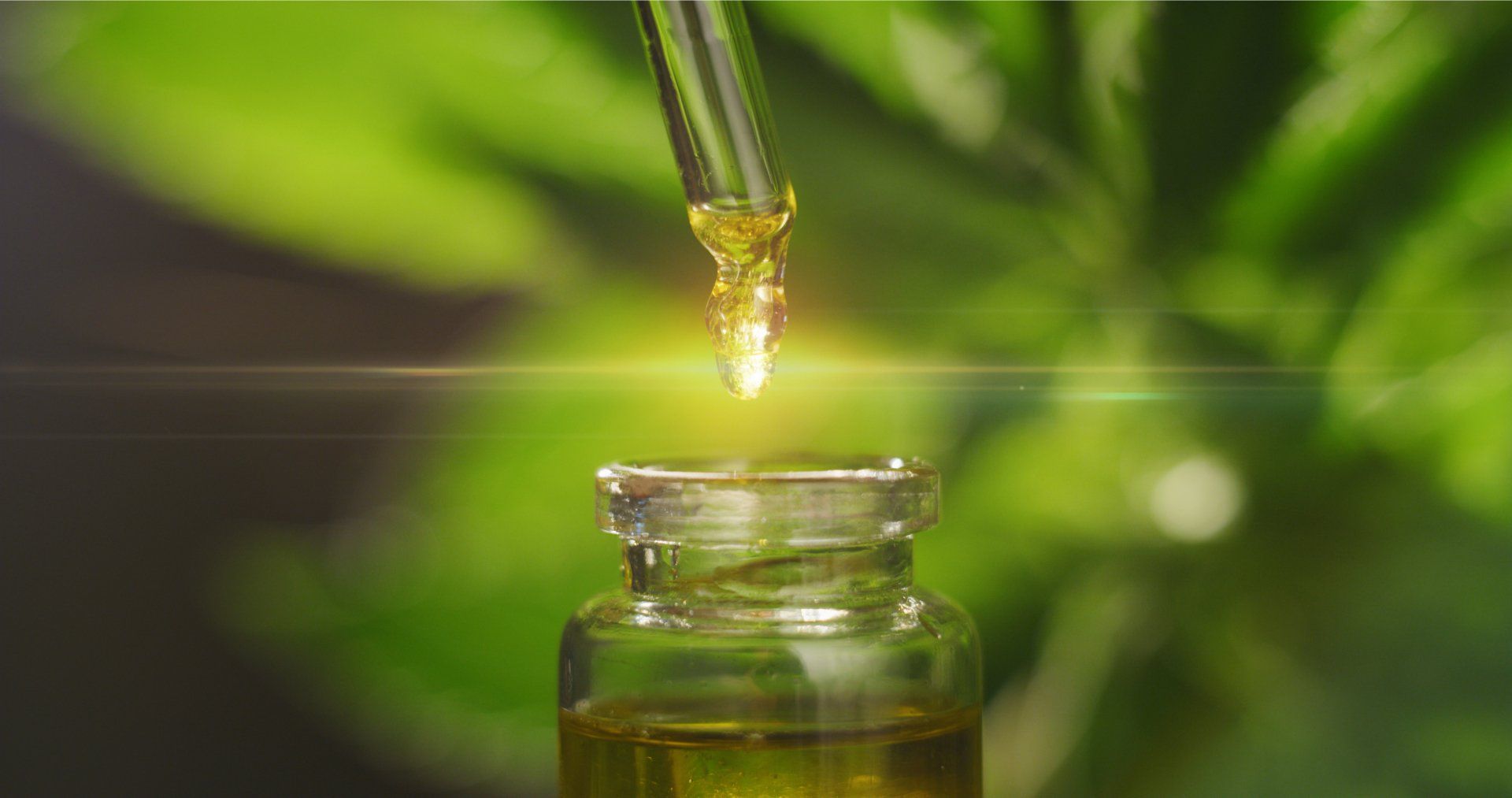 CBD and How it Works